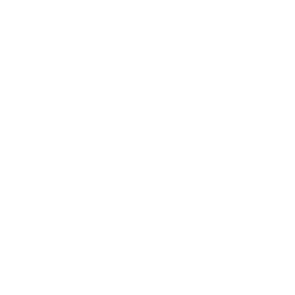 Process